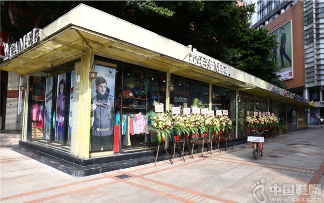 Camel���չ����׼����������