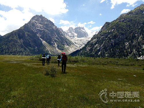 �й����ʴ�ѧ(����)�ɹ��Ƕ�ȸ��ɽ