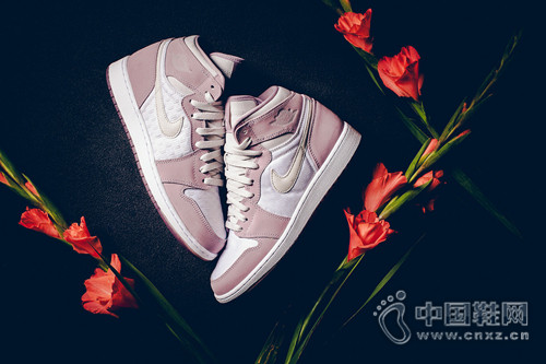 Ů��ר�� - Air Jordan 1 High ȫ����ɫ��ơ�Plum Dog��