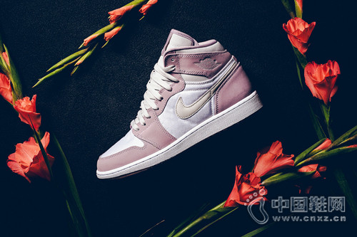 Ů��ר�� - Air Jordan 1 High ȫ����ɫ��ơ�Plum Dog��