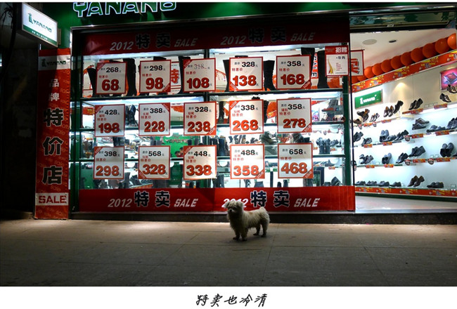 ����Ҳ����