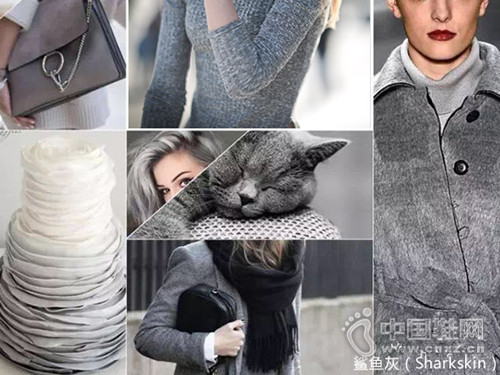 �����³� �����������chic����ɫ��