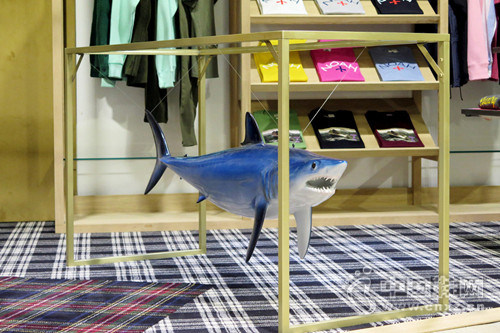 Noah �ڼ��޶���