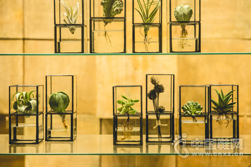 MADNESS by Shawn Yue �����ŵ�