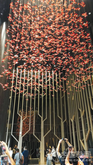 �����Ѳ�������װ������