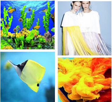 ����ū����