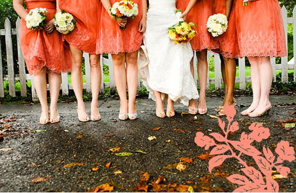 ����ū����