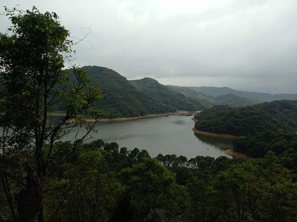 ����ū����