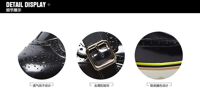 �ϵϿ������