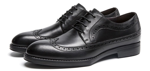 �ϵϿ������