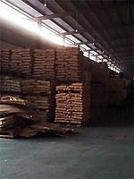 ��ӦEVR�𽺿��ϣ�EVBR����