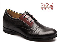 �ν��������ƤЬ 2013�ﶬ�¿�����