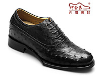 �ν��������ƤЬ 2013�ﶬ�¿�����