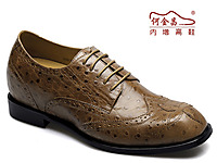 �ν��������ƤЬ 2013�ﶬ�¿�����