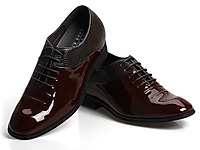 �ν��������ƤЬ 2014�����¿�����