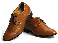 �ν��������ƤЬ 2014�����¿�����