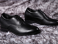 �ν��������ƤЬ 2014�����¿�����