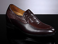 �ν��������ƤЬ 2014�����¿�����