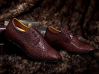 �ν��������ƤЬ 2014�����¿�����