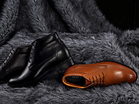 �ν��������ƤЬ 2014�����¿�����