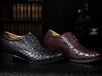 �ν��������ƤЬ 2014�����¿�����