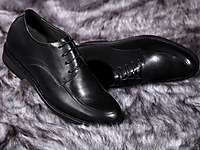 �ν��������ƤЬ 2014�����¿�����