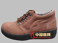 �ж�ZD-L003�ͱ�Ь