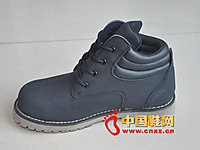 �ж�ZD-L004�ͱ�Ь