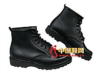 �ж�ZD-01D����ѥ