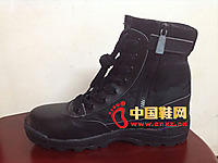 �ж�ZD-J012��սѥ