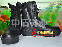 �ж�ZD-J016��սѥ