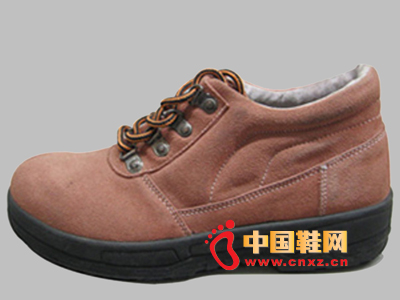 �ж�ZD-L003�ͱ�Ь