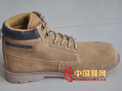 �ж�ZD-L006�ͱ�Ь