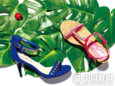 ��˼Q2015�����¿��Ʒ