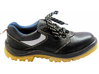 ����2015�¿ȫЬ