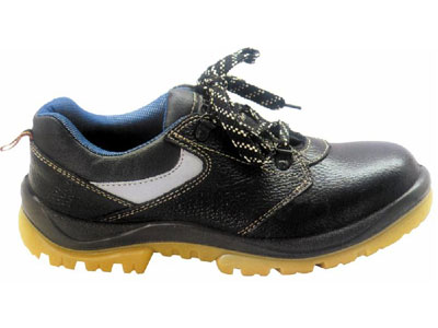 ����2015�¿ȫЬ