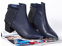 IGG2015�¿�ѥ��