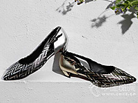 ����ū2016�¿�ŮЬ��Ʒ