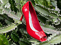 ����ū2016�¿�ŮЬ��Ʒ