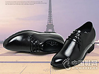 �ν��������Ь2016�¿��Ʒ