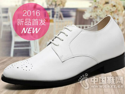 �ν��������Ь2016�¿��Ʒ