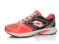 ��;��Lotto��2016�¿��˶�Ь