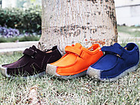 2015������Ʒϵ��