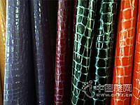 ��ҵƤ���Ʒ����ЧӦ��ϵ��