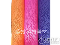 ʢ��Ь�ġ���TPUϵ��