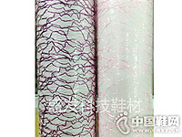 ʢ��Ь�ġ���TPUϵ��