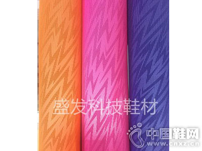 ʢ��Ь�ġ���TPUϵ��