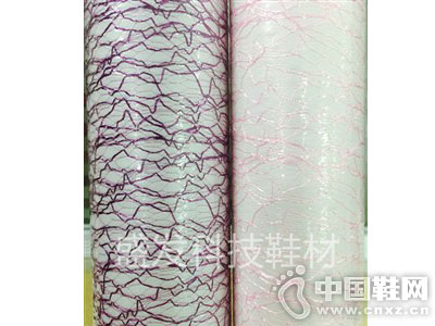 ʢ��Ь�ġ���TPUϵ��