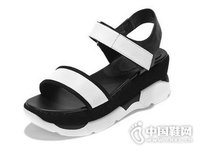 ��������2016���ײɫţƤ��Ь