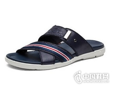 ������2016�¿�����ţƤһ����Ь